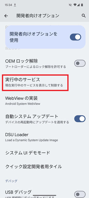開発者向けオプション