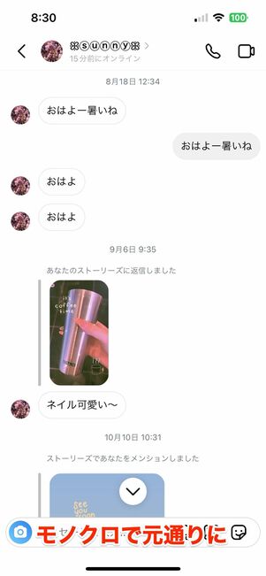 テーマを「モノクロ」に設定すると、デフォルトの状態へと戻る