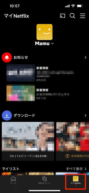 Netflix　ヘルプ