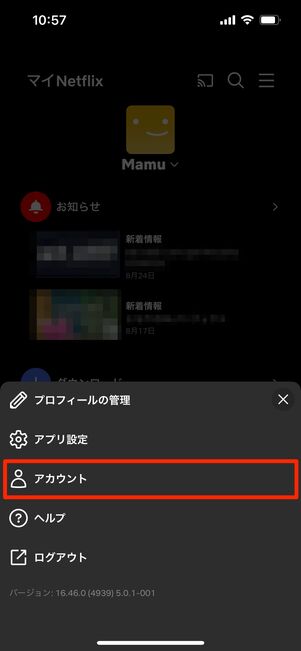 Netflix　解約