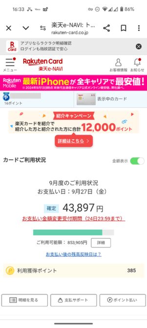 自身の楽天カード情報がチェックできればOK