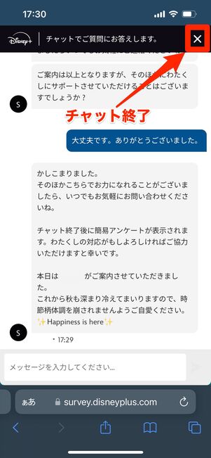 ディズニープラス　問い合わせ　チャット終了