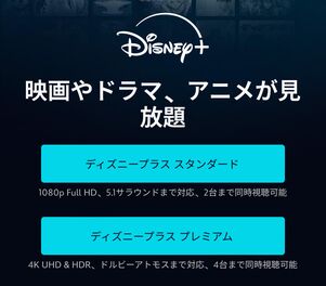 ディズニープラス登録画面