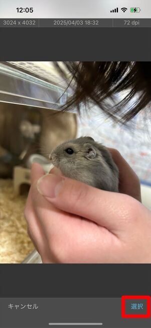 画像サイズ