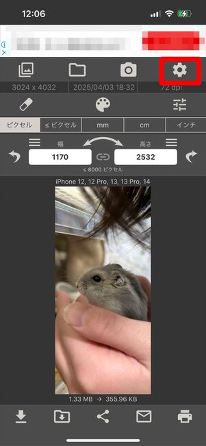 画像サイズ