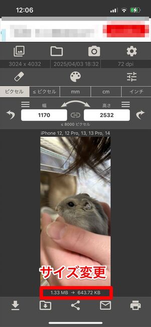 画像サイズ