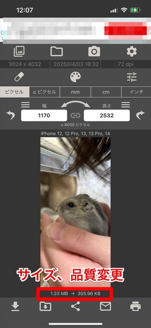 画像サイズ