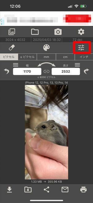 画像サイズ