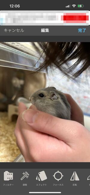 画像サイズ
