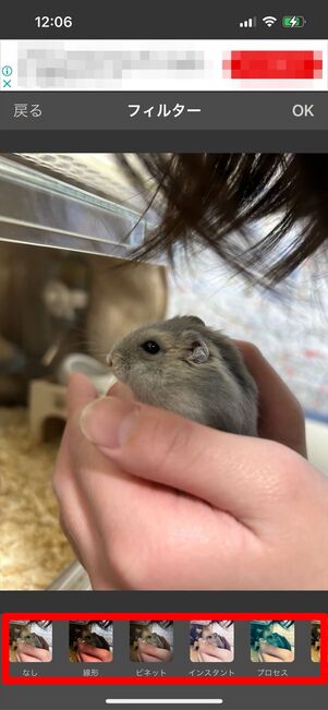 画像サイズ