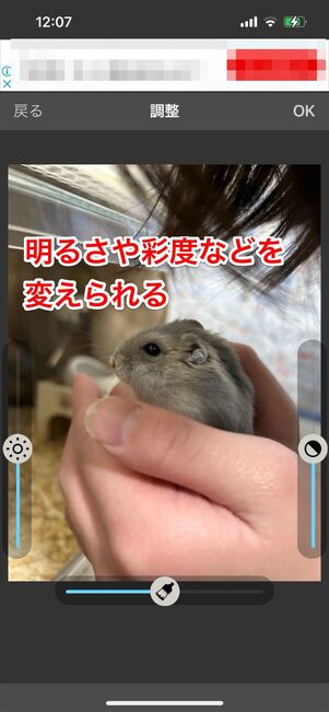 画像サイズ
