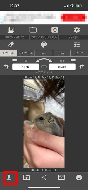 画像サイズ