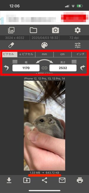 画像サイズ 画面下 表示