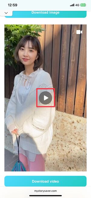 動画の再生も可能