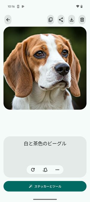 犬の写真をイラスト化してもらった