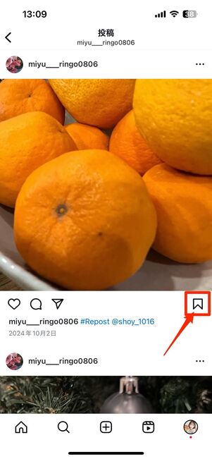 投稿の写真・動画の保存(コレクション・ダウンロード)