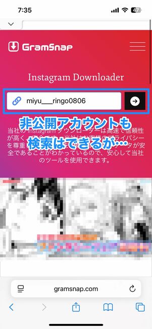 ウェブサービス「GramSnap」を利用した場合の画面