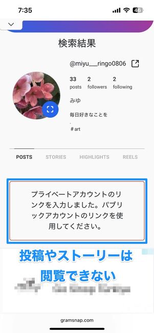 ウェブサービス「GramSnap」を利用した場合の画面