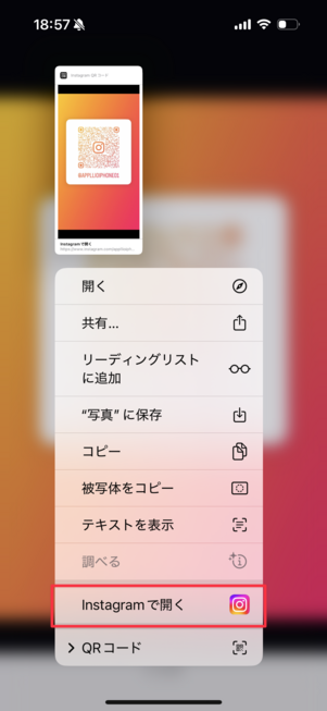 Safariオプション