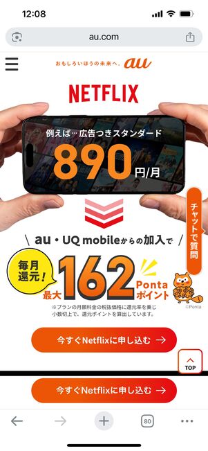 au Netflixパック