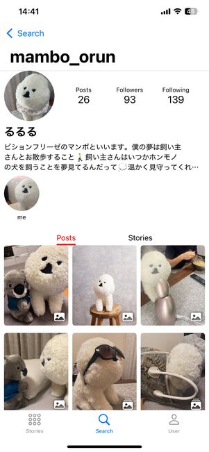 アカウントのプロフィールやハイライト、フィードが表示された