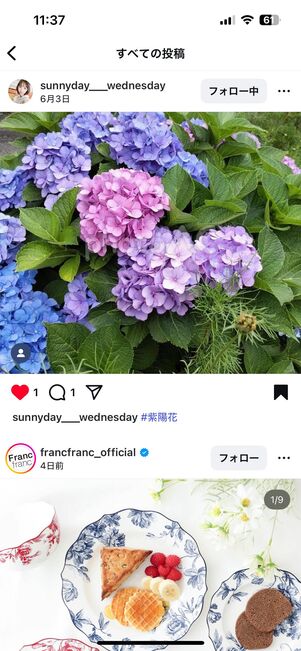 各コレクション内の投稿をタップすると、その投稿ページに遷移できる