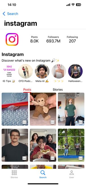 アカウントのプロフィールやハイライト、フィードが表示された