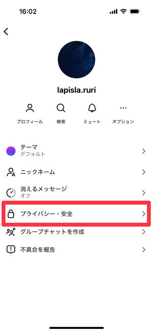 Instagramアプリ(DM相手詳細画面):「プライバシー・安全」を選択