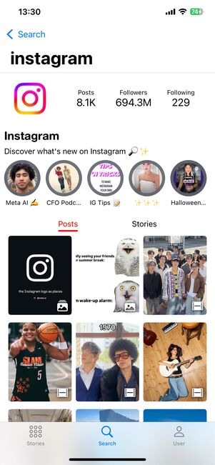 アカウントのプロフィールやハイライト、フィードが表示された