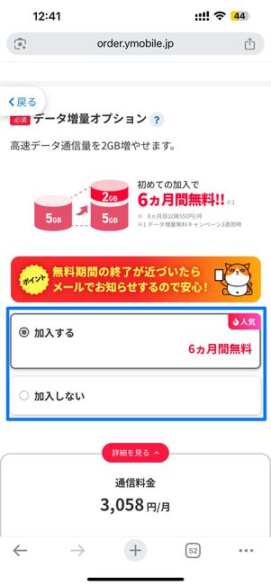 必要に応じてオプションに加入する