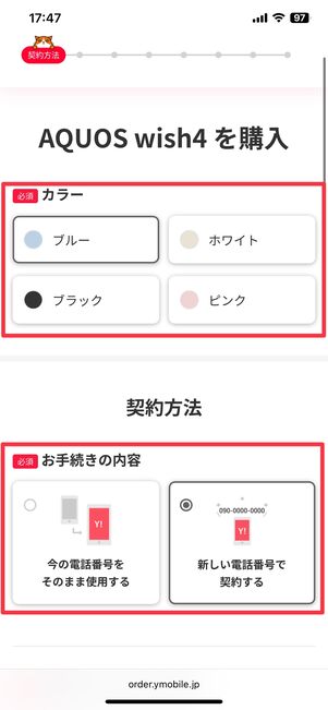 カラーと手続内容を選ぶ