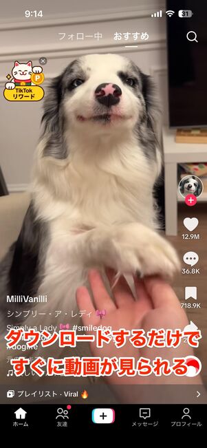 アプリ版TikTokで「見るだけ」