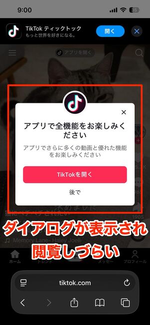 ブラウザ版TikTokを使う