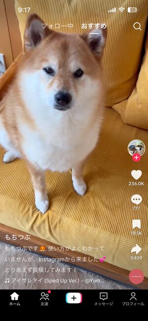 【アプリ版・Web版】動画の閲覧