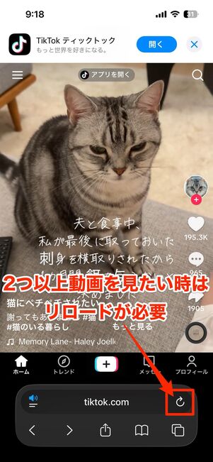 【アプリ版・Web版】動画の閲覧