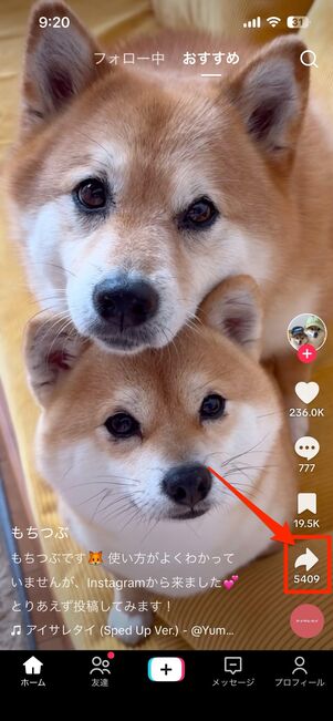 【アプリ版】動画の共有、ダウンロード