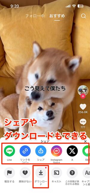 【アプリ版】動画の共有、ダウンロード