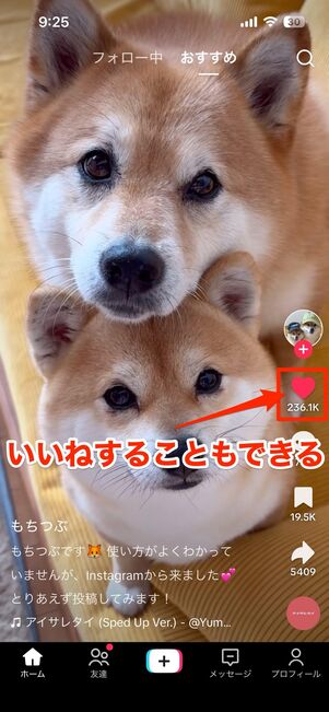 アプリ版の画面