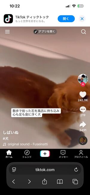 ウェブ版TikTok