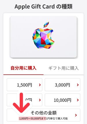 楽天市場のAppleギフトカード認定店で指定できる金額は最大5万円