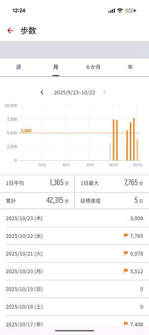楽天ヘルスケア：歩数の詳細グラフ