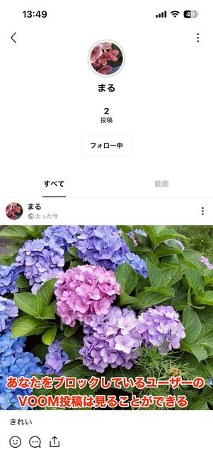 LINE VOOMは通常の友だち関係とは別空間のため、ブロックの影響を受けない