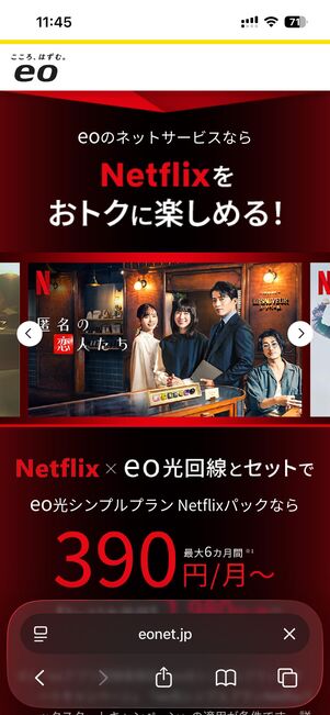 eo光シンプルプランNetflixパック