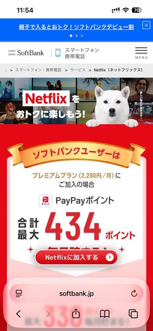 Netflix PayPayポイントキャンペーン