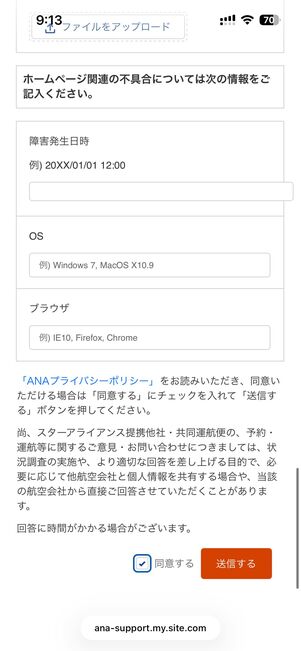 国内線についてメールで問い合わせる