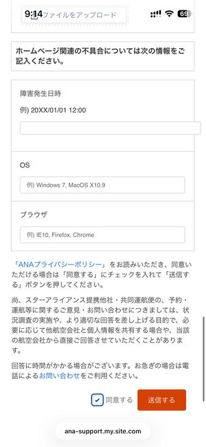 国際線についてメールで問い合わせる