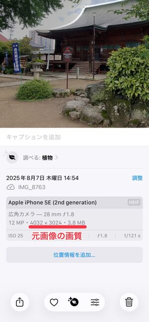 元画像（オリジナル画質）
