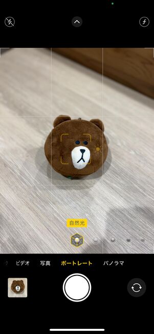 ポートレートや動画など、カメラは問題なく使える