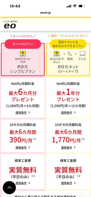 eo光　シンプルプラン　Netflixパック