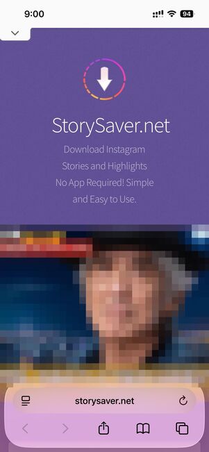「StorySaver.net」のトップ画面